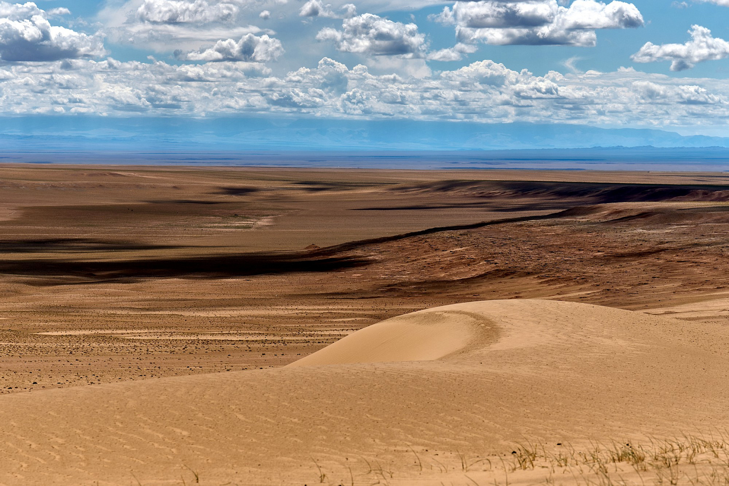 Как команда из России приручила монгольского «Белого тигра»