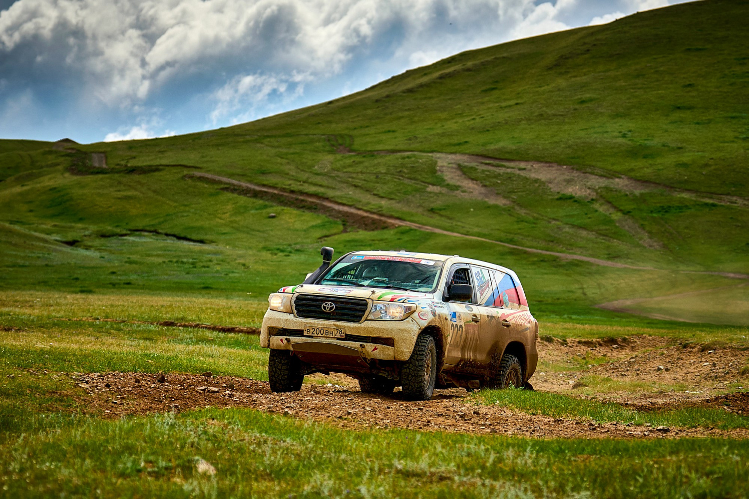 Как команда из России приручила монгольского «Белого тигра»