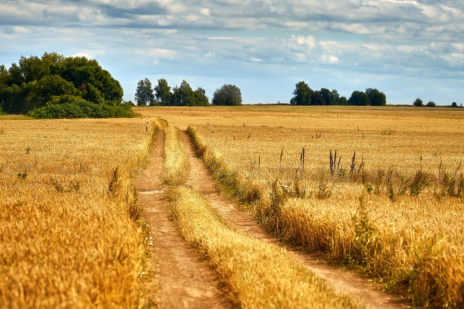 Древний город Юрьев-Польский, встречай! 