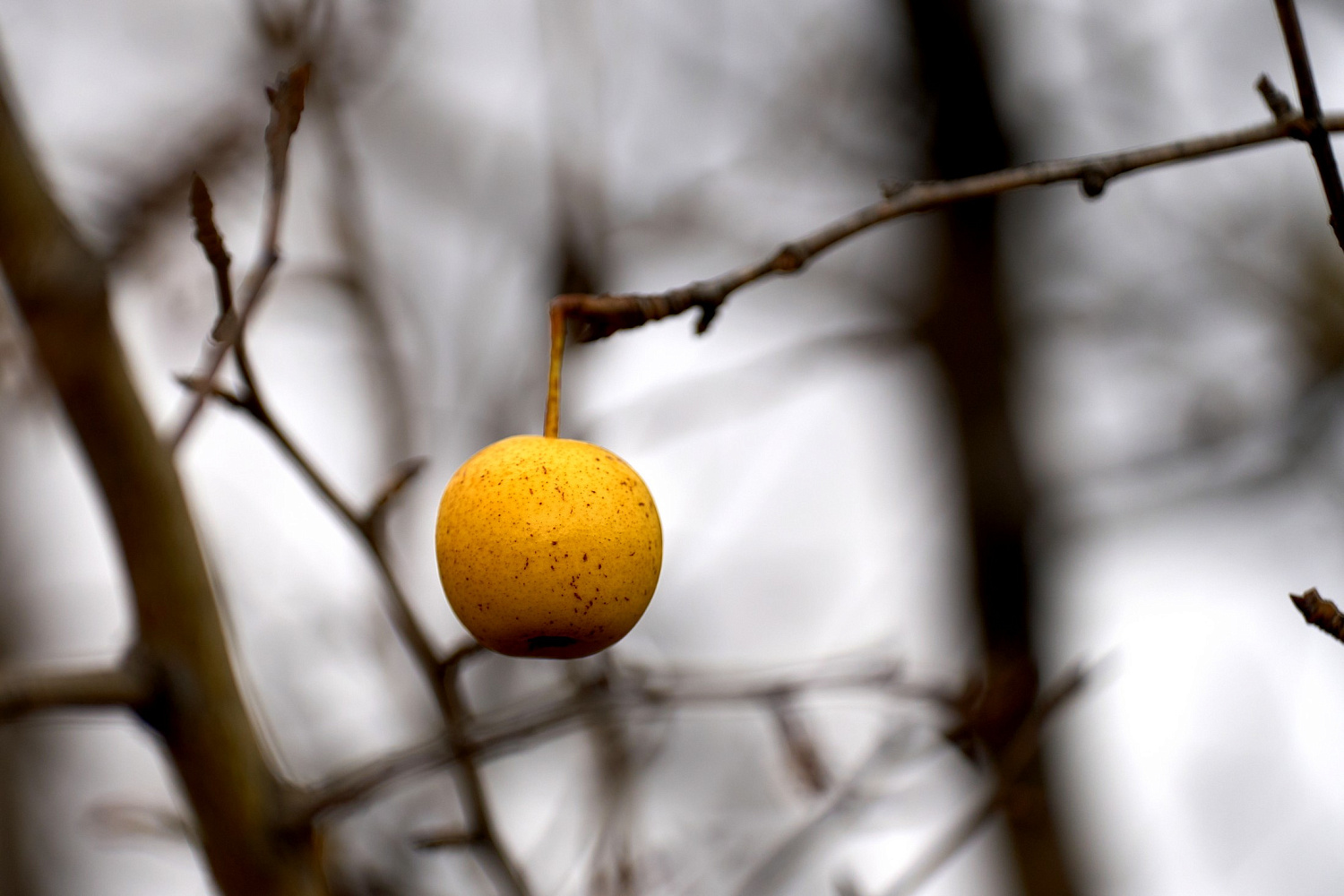 Итоги бахи «Тихий Дон»: S&A Racing – чемпионы!