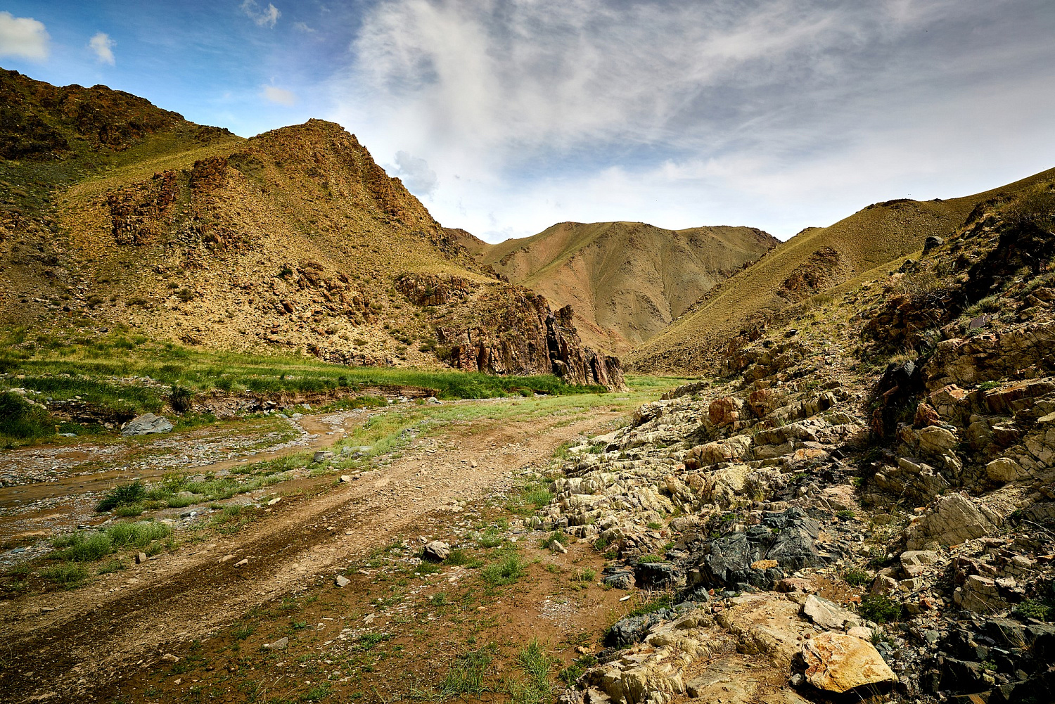 Как команда из России приручила монгольского «Белого тигра»