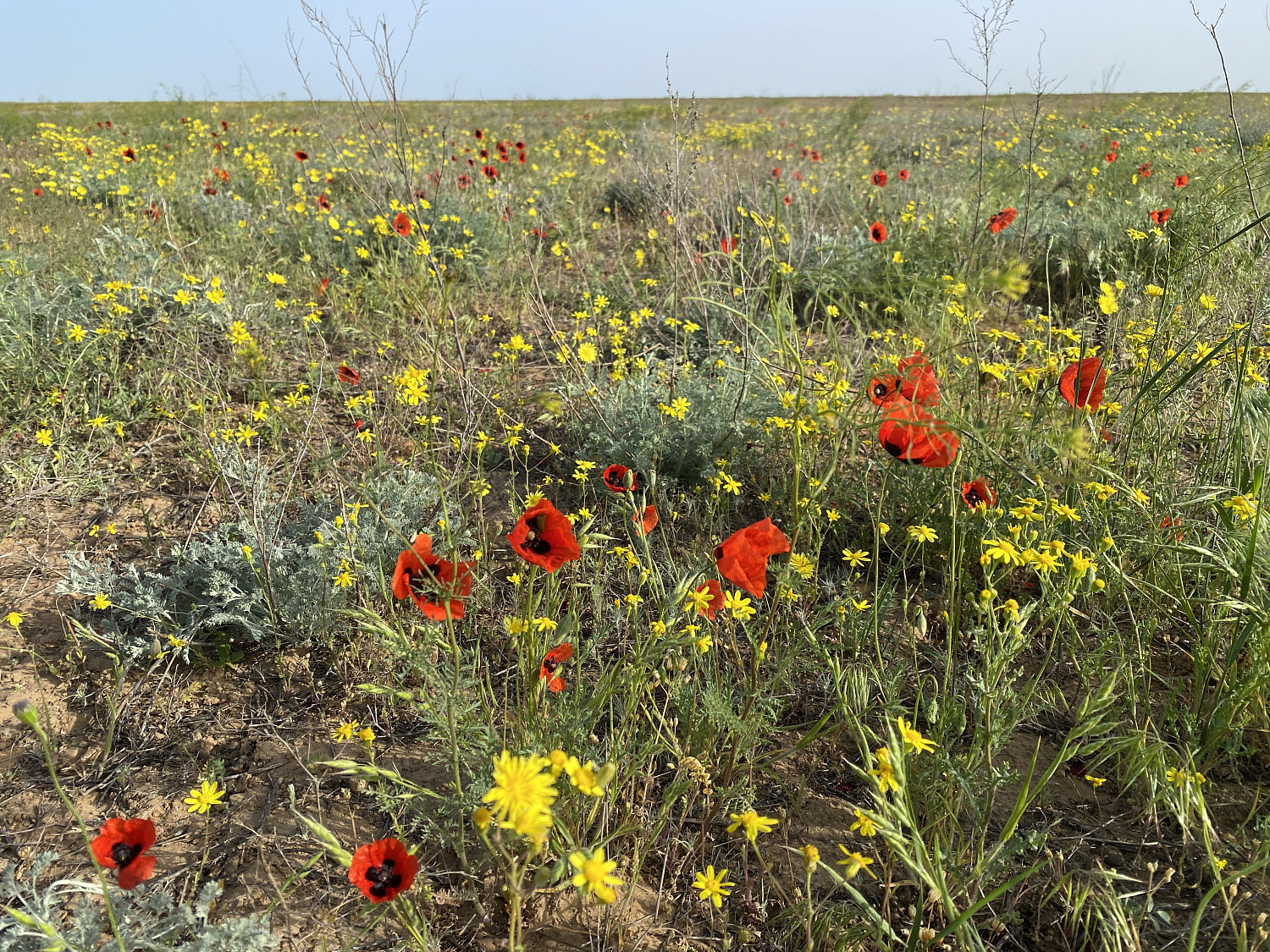 Астраханские пески послужили тренировочным полигоном перед Silk Way Rally