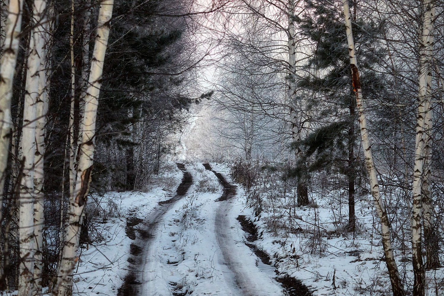 Итоги сезона для S&A Racing – Кубок России, серебро ЧР и ещё много приятного