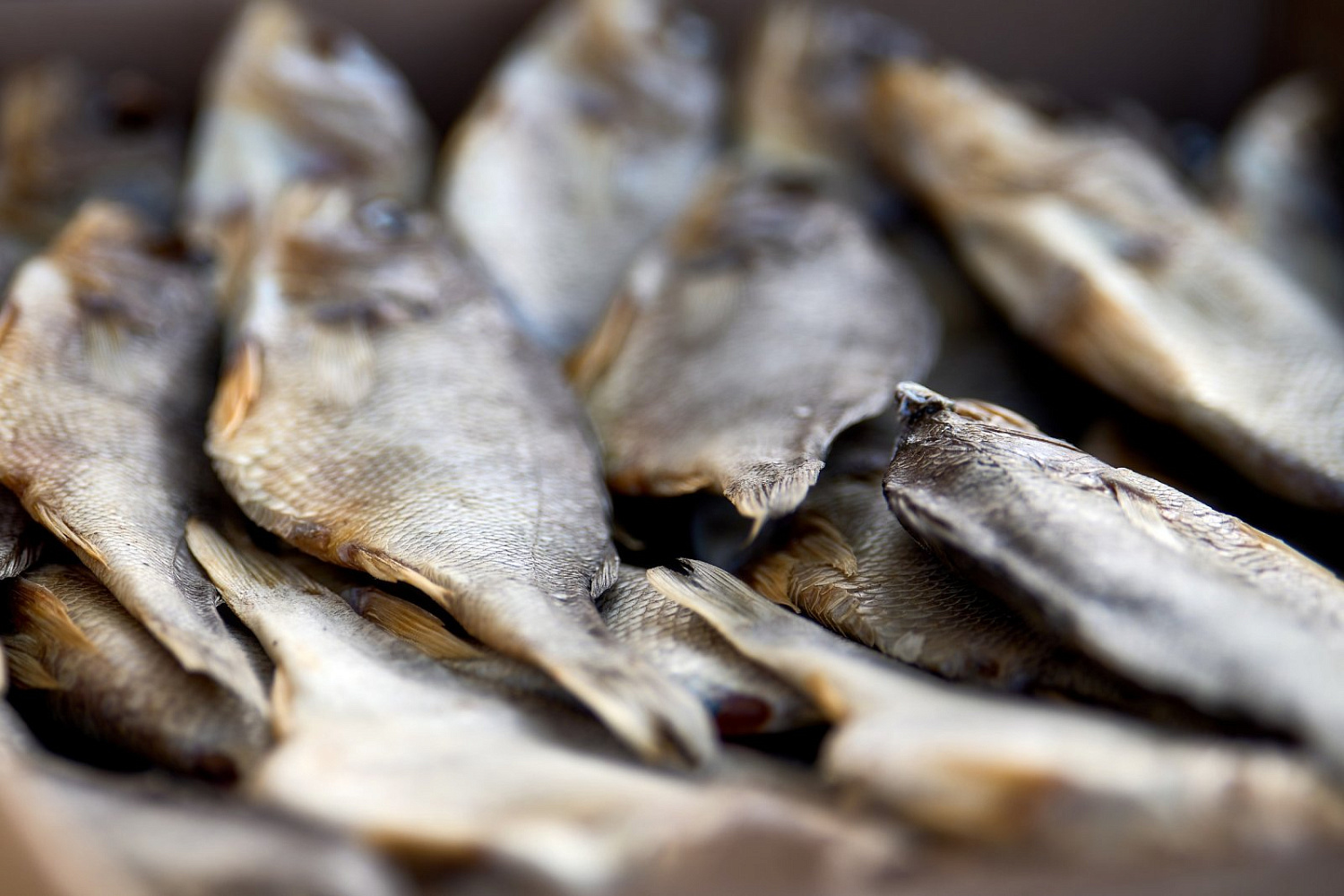 Единственный подходящий результат – победа в Кубке России