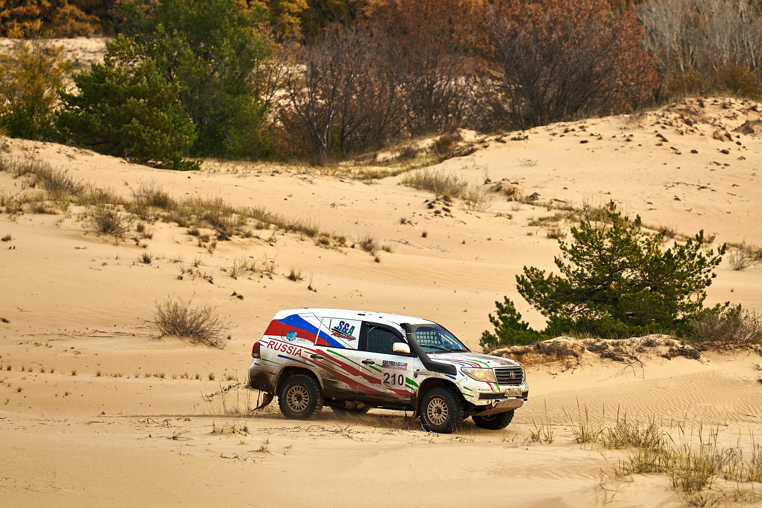 Баха «Тихий Дон» ждёт своих героев