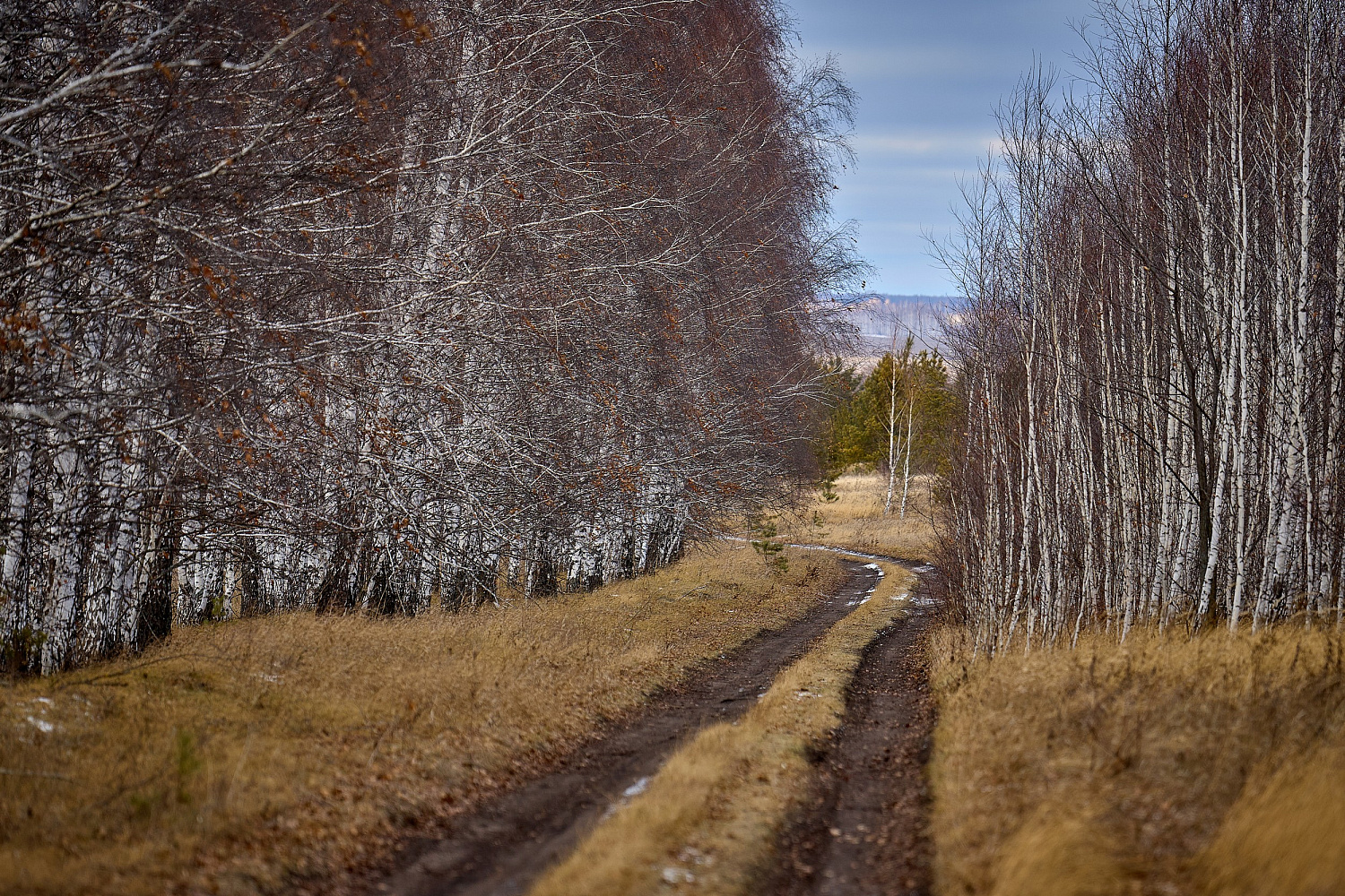 Экипаж S&A Racing побеждает в Чемпионате России второй год подряд!