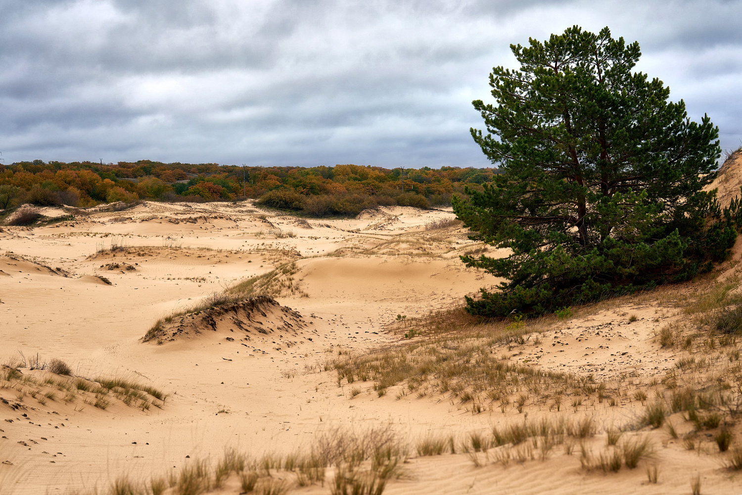 Баха «Тихий Дон» ждёт своих героев