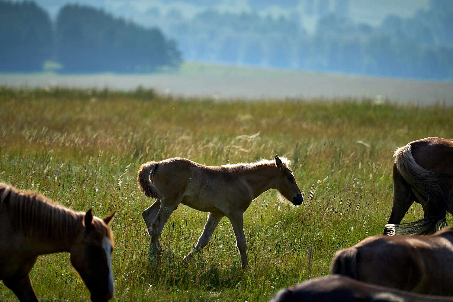 S&A Racing на бахе «Уральский рубеж» – победа в лучшем виде