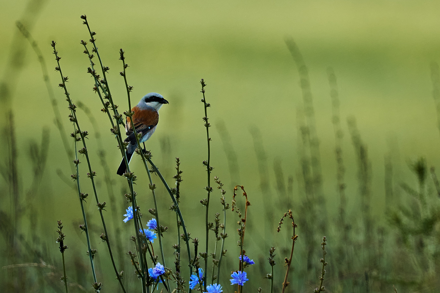 Победа S&A Racing на бахе «Сурский рубеж» - когда хватает четырех литров, семи не нужно Победа S&A Racing на бахе «Сурский рубеж» - когда хватает четырех литров, семи не нужно