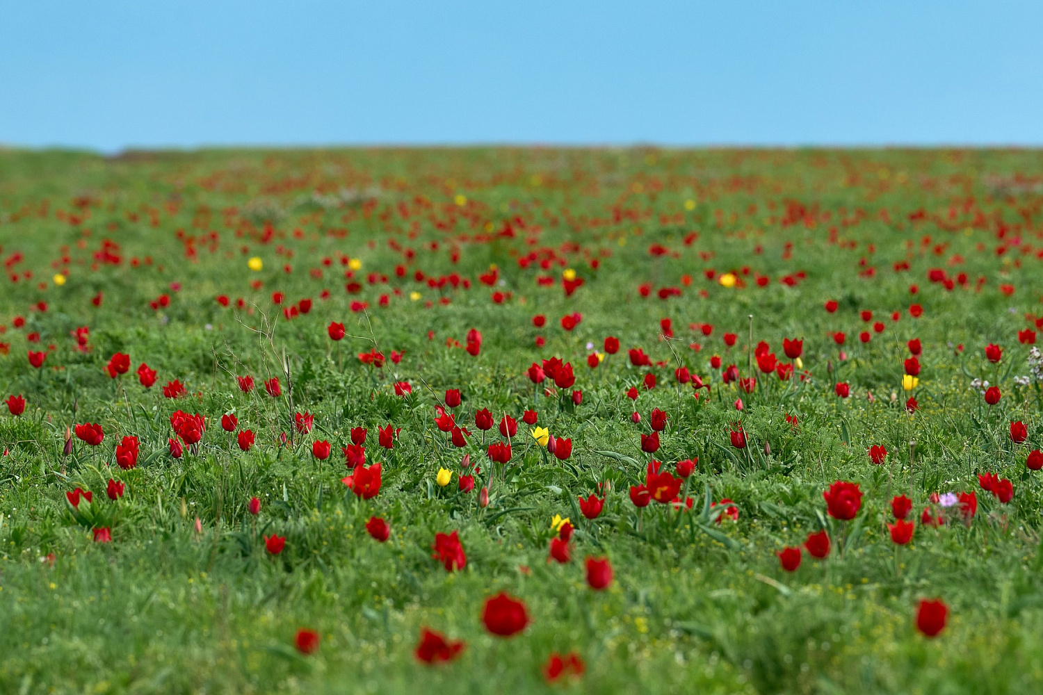 Боевая тренировка без права на ошибку