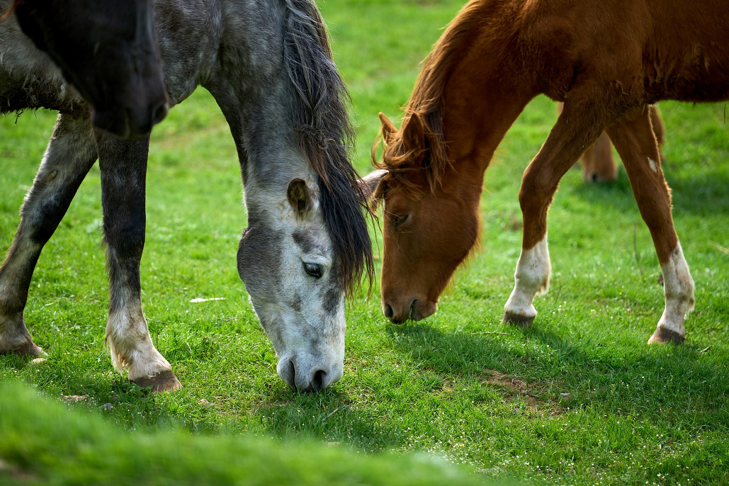 Боевая тренировка без права на ошибку