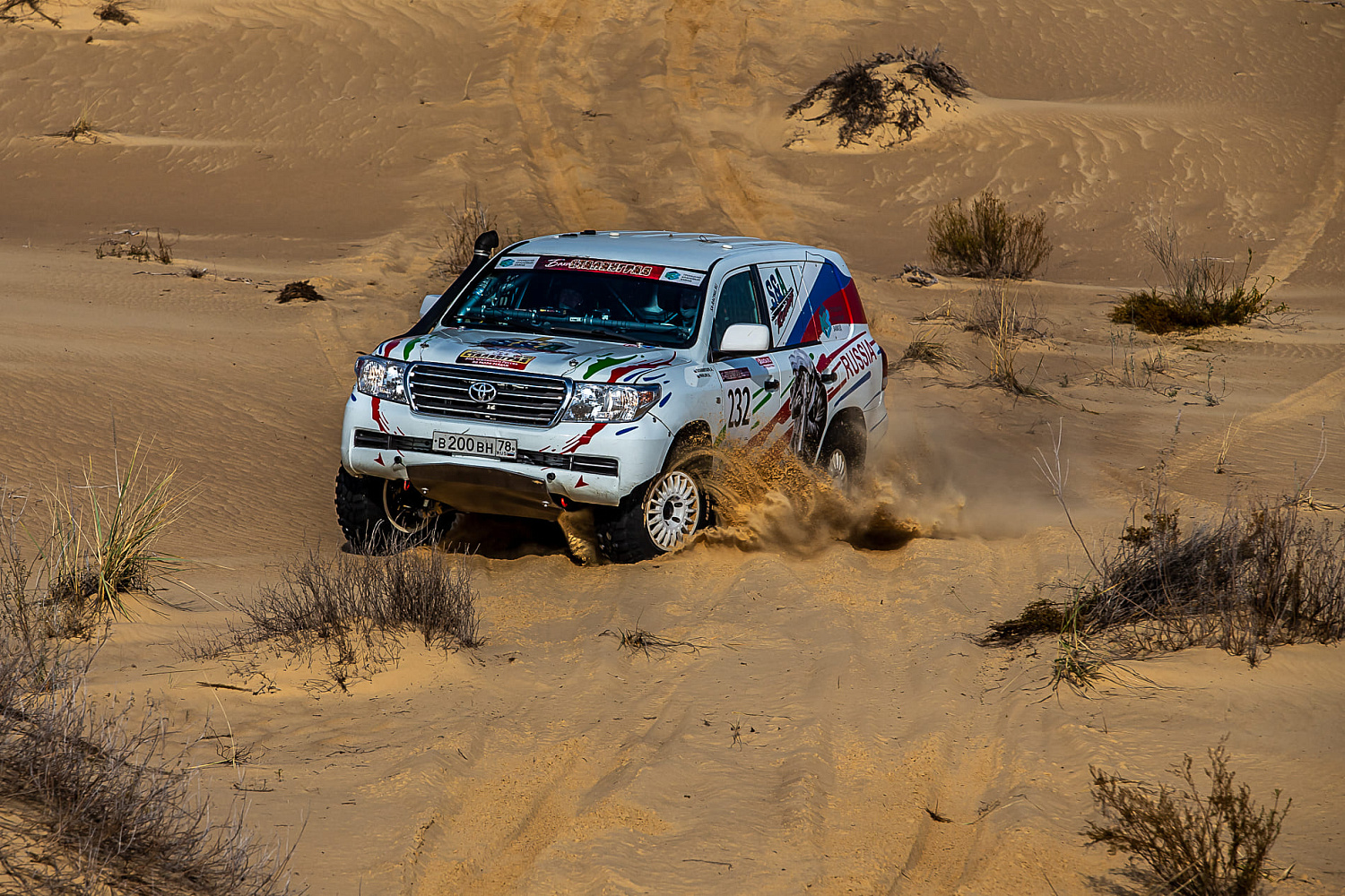 Баха «Пески Арчеды»: весна в пустыне