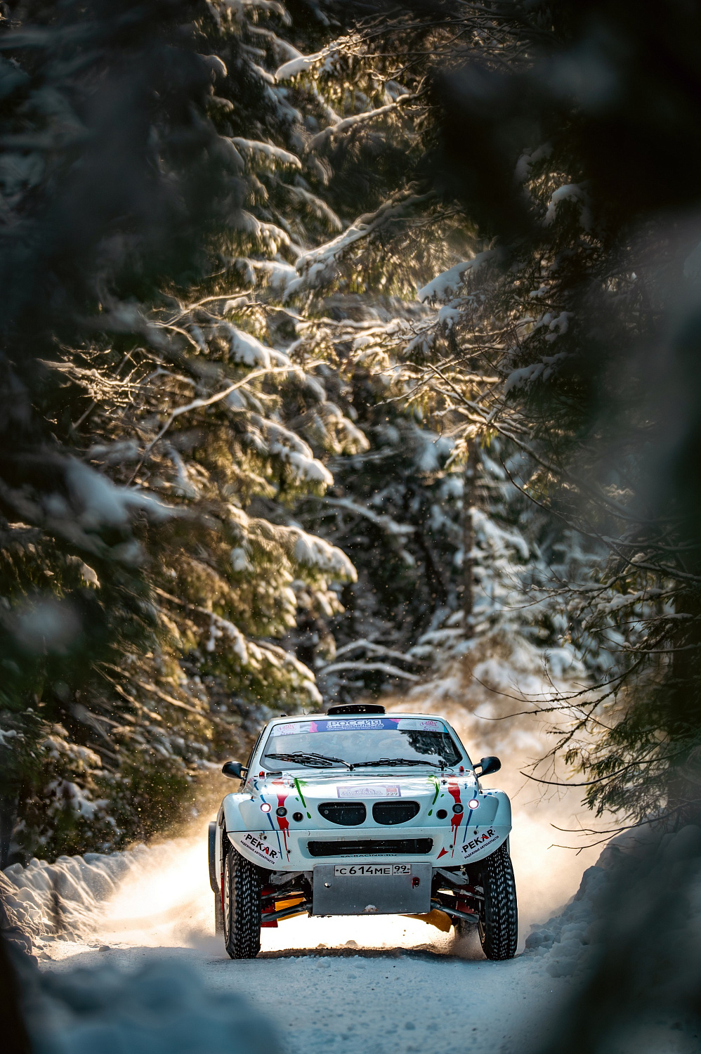 «Серебром» командного зачёта завершили «Северный лес» 2024