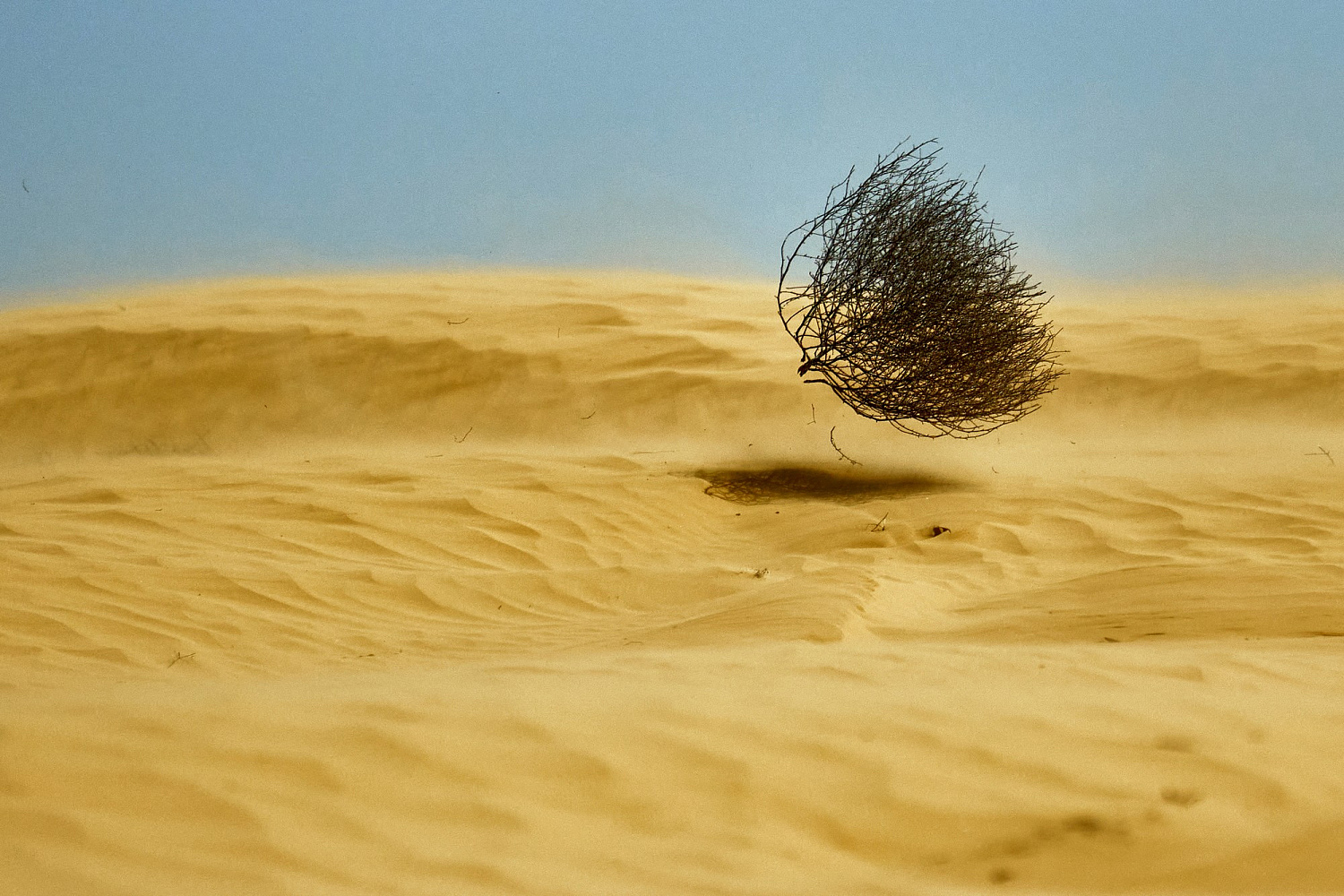 Астраханские пески послужили тренировочным полигоном перед Silk Way Rally